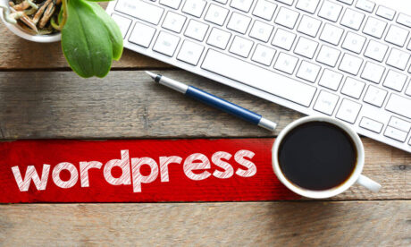 WordPress Website in 24 Hours