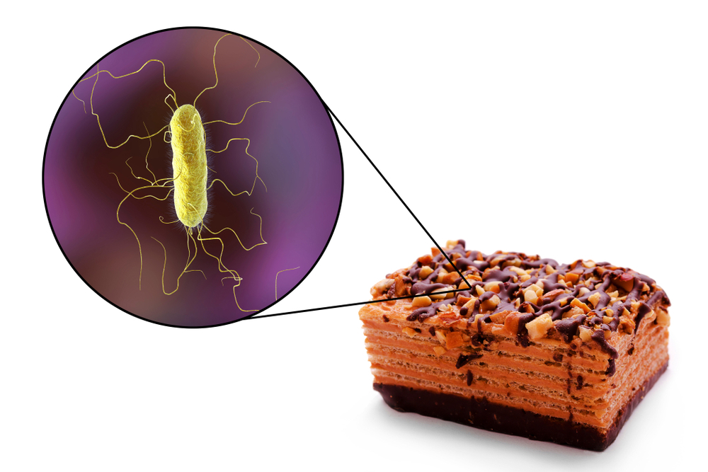 Food borne Diseases The Most Dangerous Bacteria & Foods
